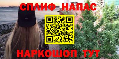 прущие грибы Малоярославец
