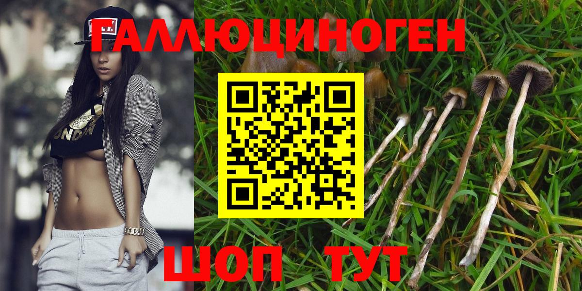Псилоцибиновые грибы мицелий Похвистнево